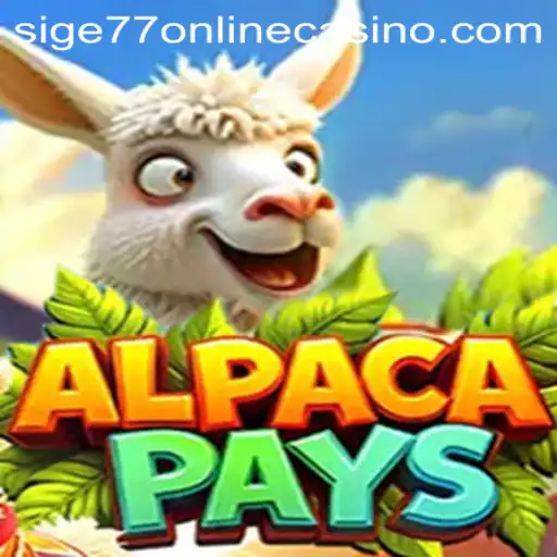 Exploring AlpacaPays at Sige77 Online Casino: An Engaging Casino Experience