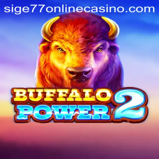 Discover the Thrilling World of BuffaloPower2 at Sige77 Online Casino