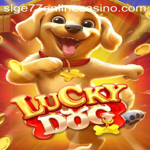 Exploring the Thrills of LuckyDog: A Comprehensive Guide