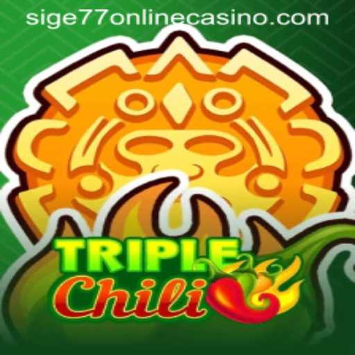 TripleChili: A Thrilling Experience at sige77 Online Casino